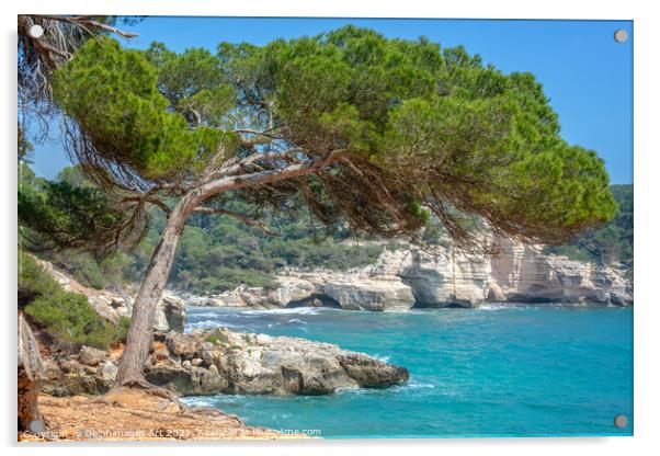 Mediterranean landscape in Menorca, Spain Acrylic by Delphimages Art