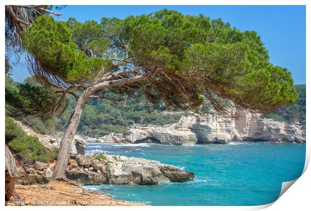 Mediterranean landscape in Menorca, Spain Print by Delphimages Art