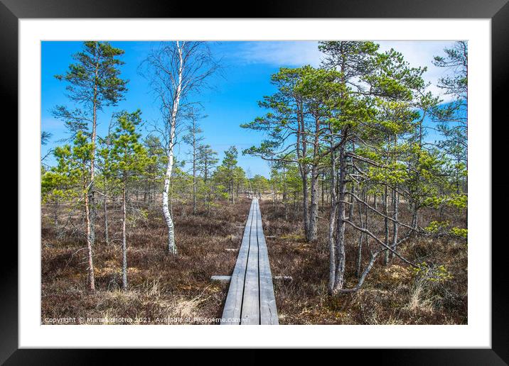 Wooden trail over swamp Framed Mounted Print by Maria Vonotna
