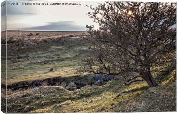 Rugged Dartmoor near Cox Tor Canvas Print by Kevin White