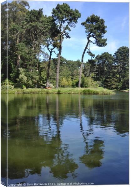 Tree Reflection on lake, Golden Gate Park Canvas Print by Sam Robinson