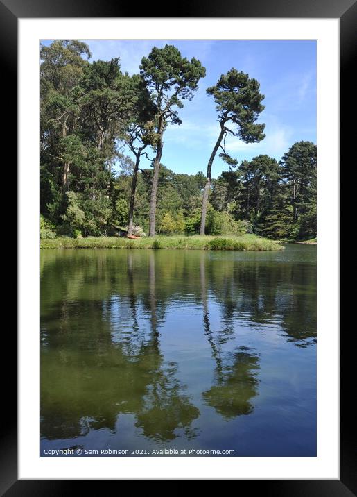 Tree Reflection on lake, Golden Gate Park Framed Mounted Print by Sam Robinson