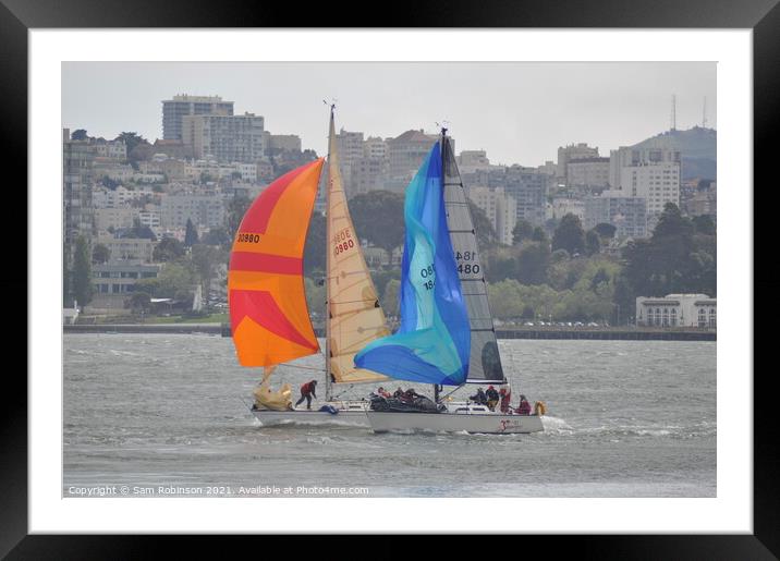 Sailboats in San Francisco Framed Mounted Print by Sam Robinson