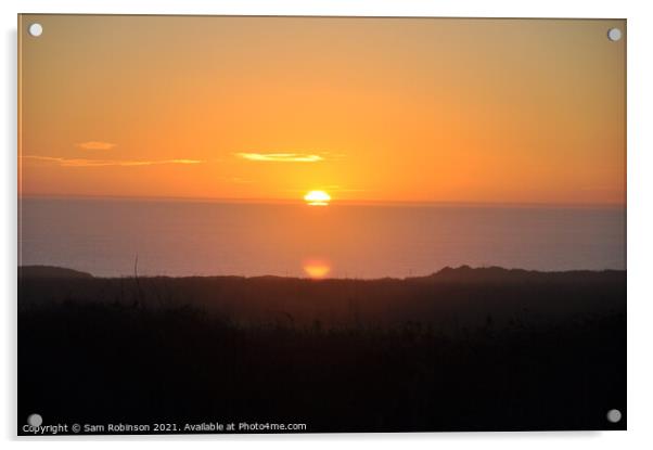 California Sunset Acrylic by Sam Robinson