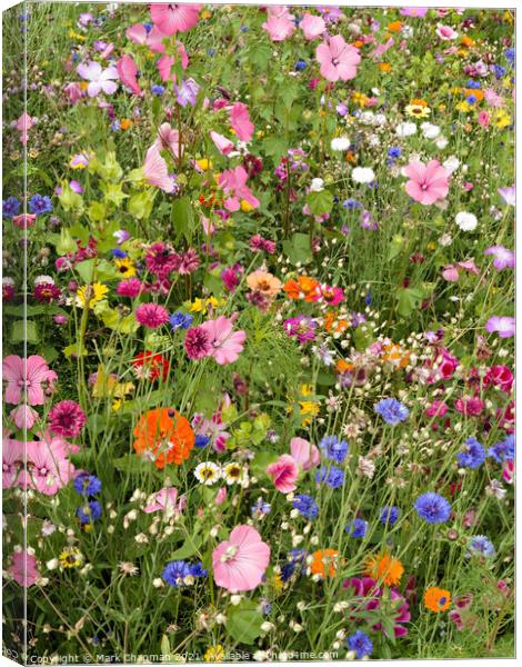 Mixed flower border Canvas Print by Photimageon UK
