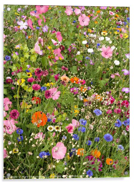 Mixed flower border Acrylic by Photimageon UK