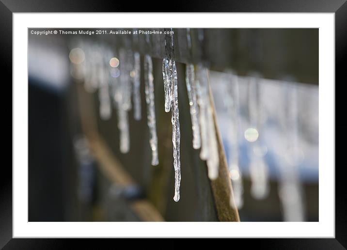 Icicles Framed Mounted Print by Thomas Mudge