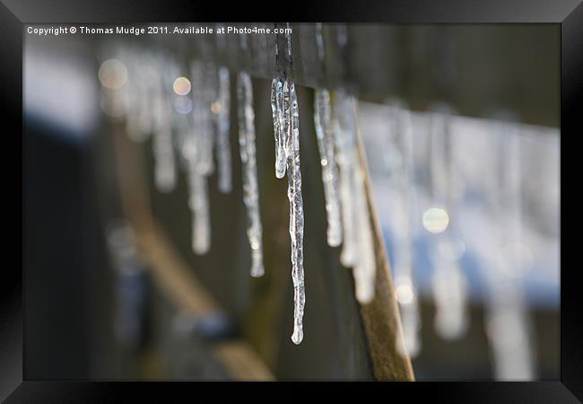 Icicles Framed Print by Thomas Mudge