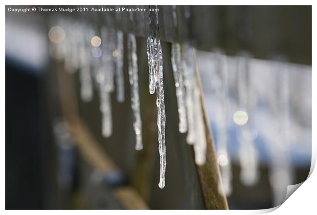 Icicles Print by Thomas Mudge