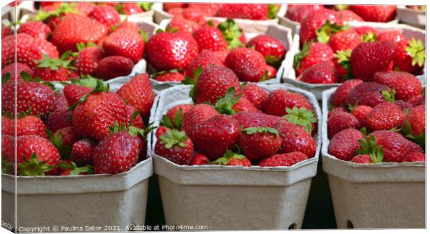Fresh strawberries in cardboard boxes Canvas Print by Paulina Sator