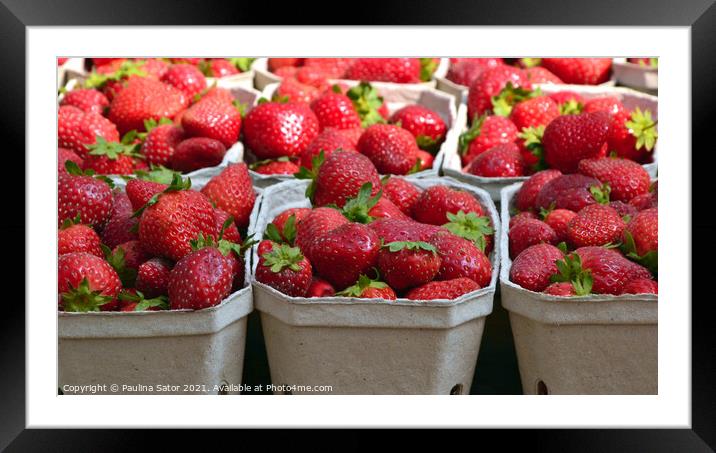 Fresh strawberries in cardboard boxes Framed Mounted Print by Paulina Sator