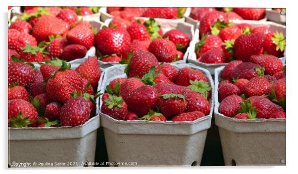 Fresh strawberries in cardboard boxes Acrylic by Paulina Sator