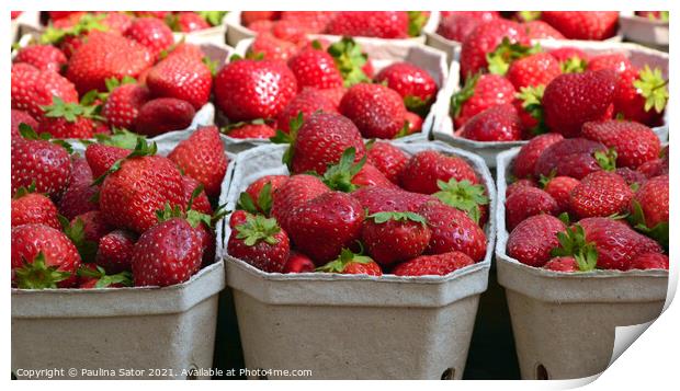 Fresh strawberries in cardboard boxes Print by Paulina Sator