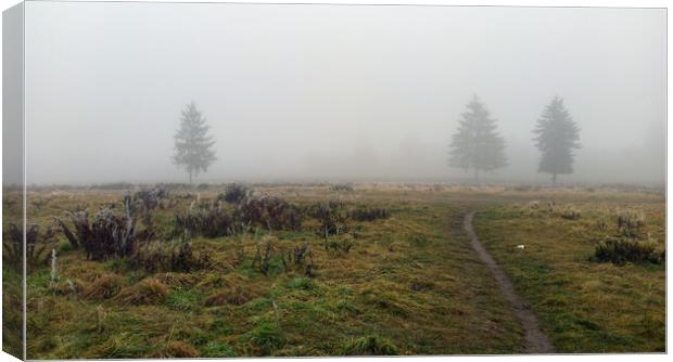 Wide angle shot of a trees covered in mist during foggy morning and a path formed in between green grass meadow field with nobody. winter weather. Canvas Print by Arpan Bhatia