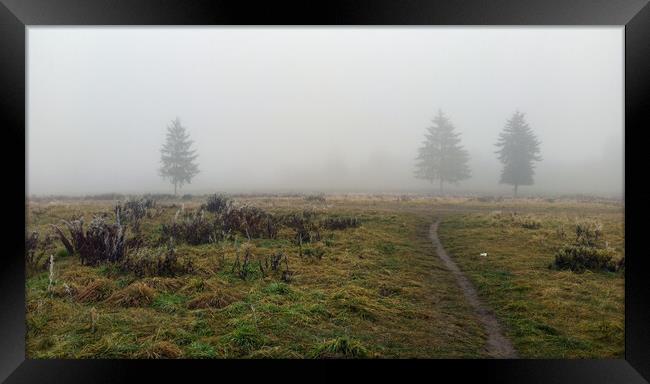 Wide angle shot of a trees covered in mist during foggy morning and a path formed in between green grass meadow field with nobody. winter weather. Framed Print by Arpan Bhatia