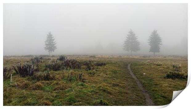 Wide angle shot of a trees covered in mist during foggy morning and a path formed in between green grass meadow field with nobody. winter weather. Print by Arpan Bhatia