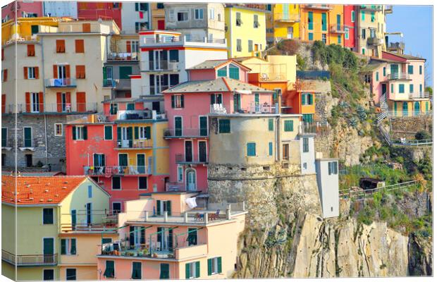 Italy, Riomaggiore colorful streets Canvas Print by Elijah Lovkoff