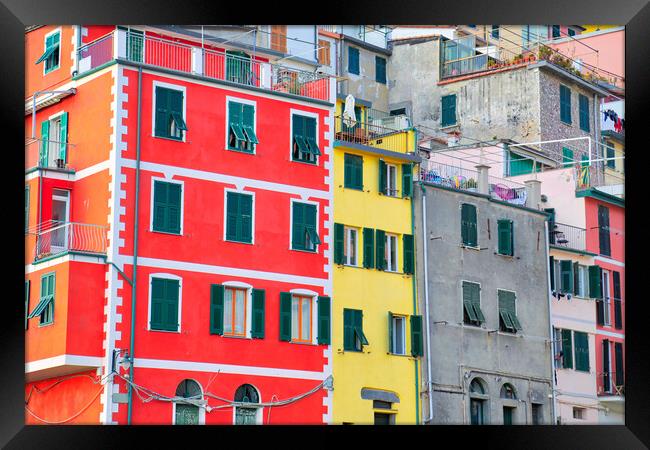 Italy, Riomaggiore colorful streets Framed Print by Elijah Lovkoff