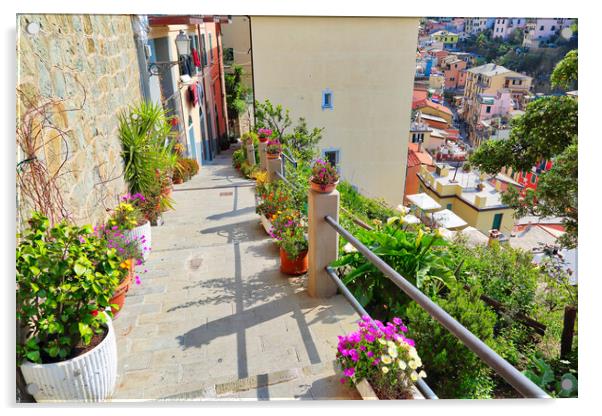 Italy, Riomaggiore colorful streets Acrylic by Elijah Lovkoff