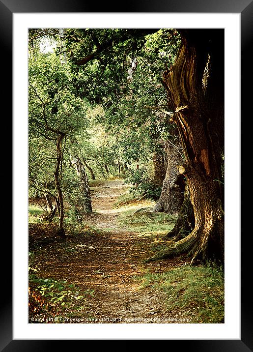 Woodland path Framed Mounted Print by Francesca Shearcroft