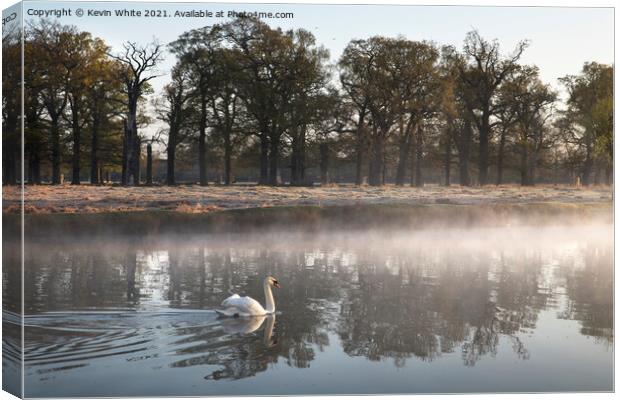 Swan on misty pond Canvas Print by Kevin White