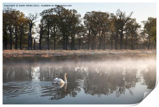 Swan on misty pond Print by Kevin White