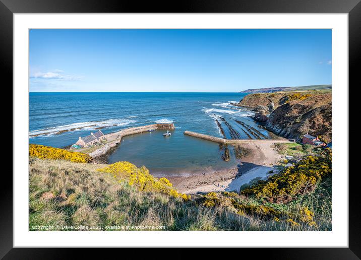 View of Cove Harbour on a clear sunny day at high tide Framed Mounted Print by Dave Collins