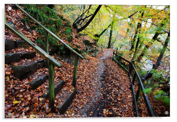 Brundholme Woods in Autumn Keswick Acrylic by Mark Sunderland