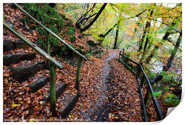 Brundholme Woods in Autumn Keswick Print by Mark Sunderland