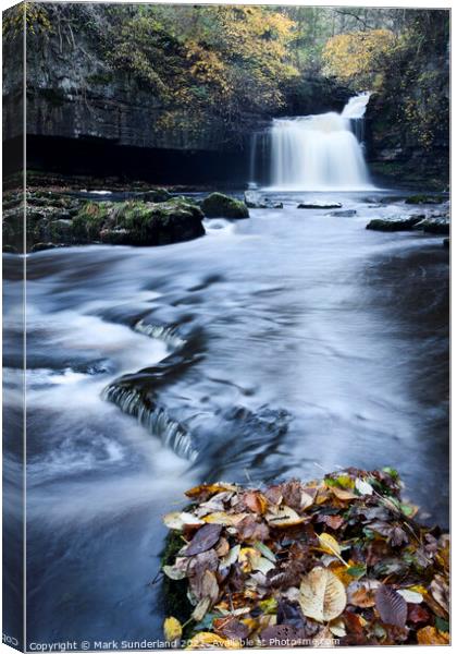 West Burton Waterfall in Autumn Canvas Print by Mark Sunderland