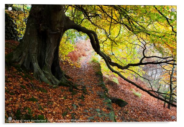 Autumn Trees by Ullswater Acrylic by Mark Sunderland