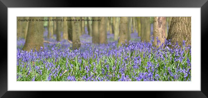 Bluebells in the forest Framed Mounted Print by Jo Sowden