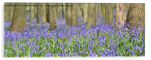 Bluebells in the forest Acrylic by Jo Sowden