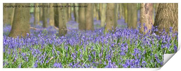 Bluebells in the forest Print by Jo Sowden