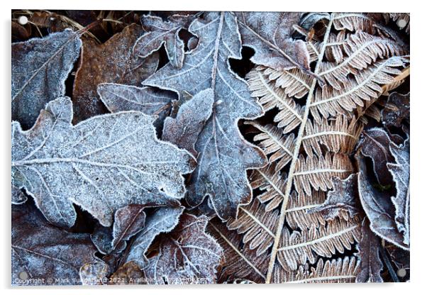 Frosty Leaves in Old Spring Wood near Summerbridge Acrylic by Mark Sunderland