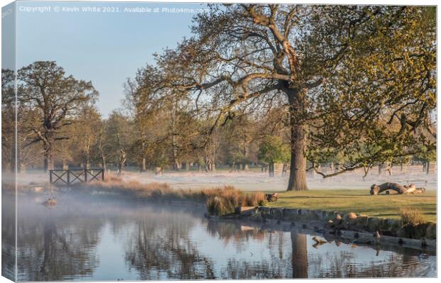 Bushy Park first thing Canvas Print by Kevin White