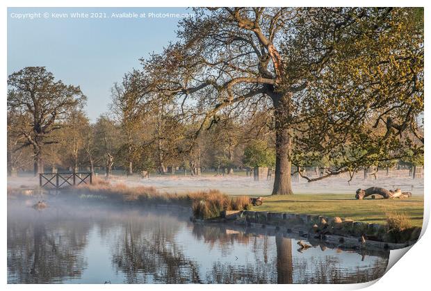 Bushy Park first thing Print by Kevin White