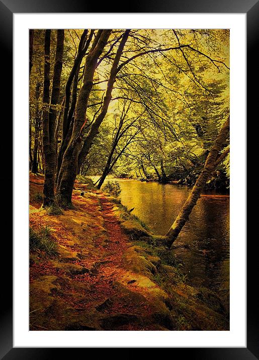 Beechwoods by the River Coe Framed Mounted Print by Jacqi Elmslie