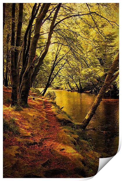 Beechwoods by the River Coe Print by Jacqi Elmslie