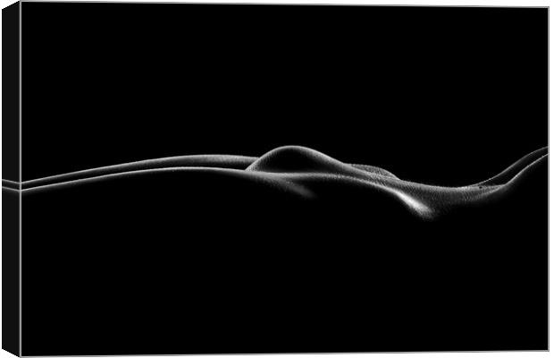 Nude woman bodyscape 77 Canvas Print by Johan Swanepoel
