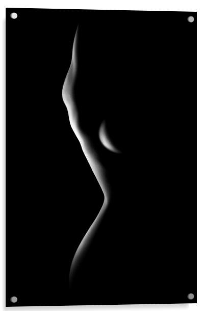 Nude woman bodyscape 78 Acrylic by Johan Swanepoel