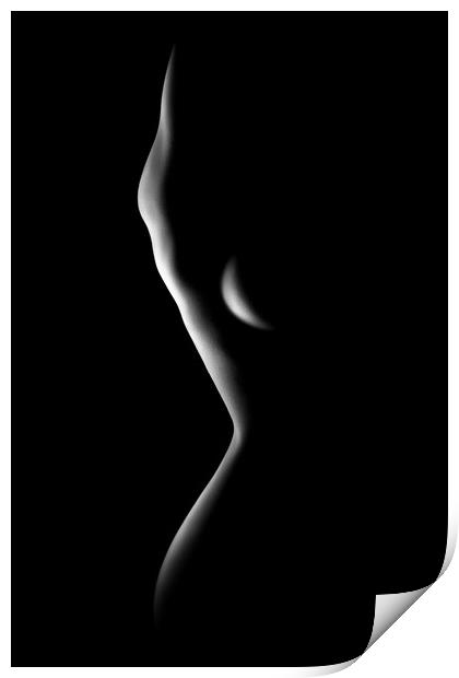 Nude woman bodyscape 78 Print by Johan Swanepoel