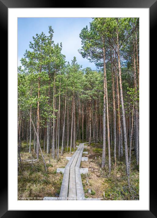 Wooden trail in forest Framed Mounted Print by Maria Vonotna