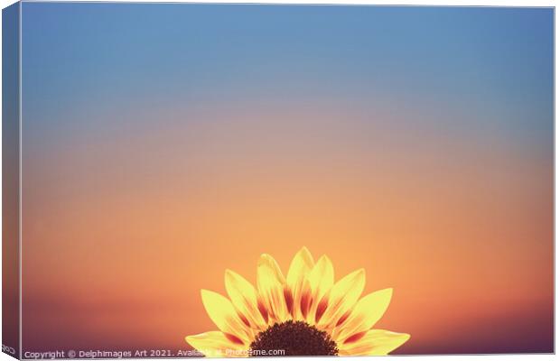 Sunflower surreal minimal sunset Canvas Print by Delphimages Art