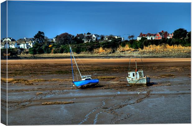 High and Dry Canvas Print by Steve Purnell