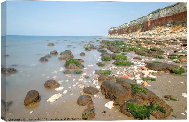 Striped cliffs at Hunstanton Canvas Print by Clive Wells