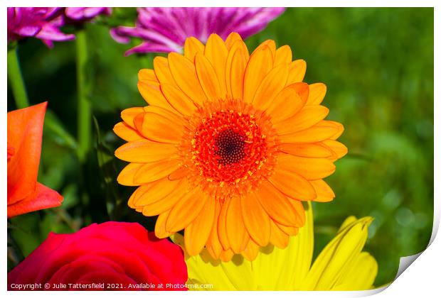 gerbera daisy flower looking vibrant in the sunshi Print by Julie Tattersfield