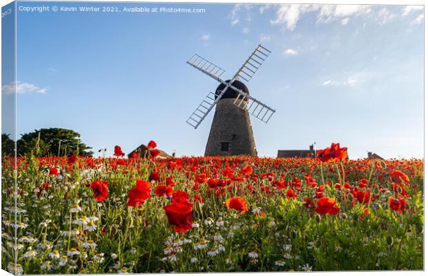 Poppies by the windmill Canvas Print by Kevin Winter