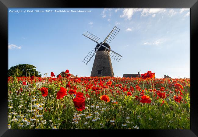 Poppies by the windmill Framed Print by Kevin Winter