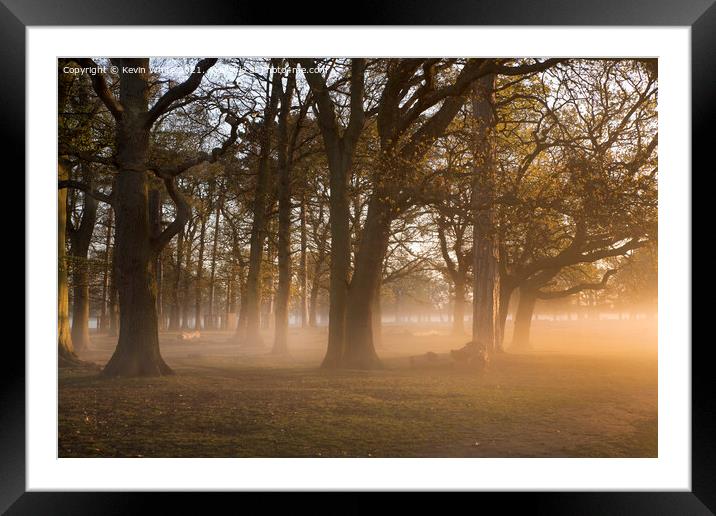 Magical sunlight through the trees Framed Mounted Print by Kevin White